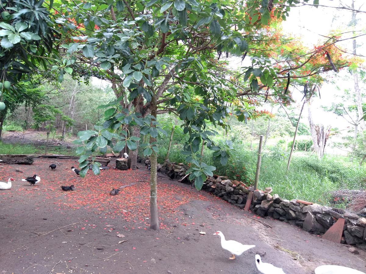 Casa Da Mamae Villa Barra de São João Exteriör bild
